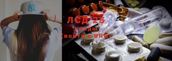 гидра Вяземский