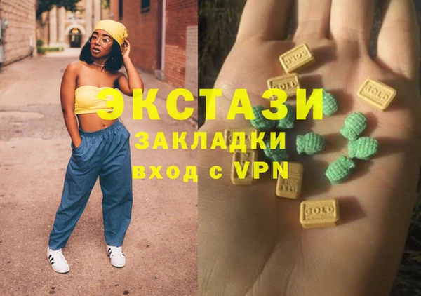гидра Вяземский